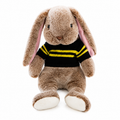 Bunny™ – The Playful Adventure Buddy